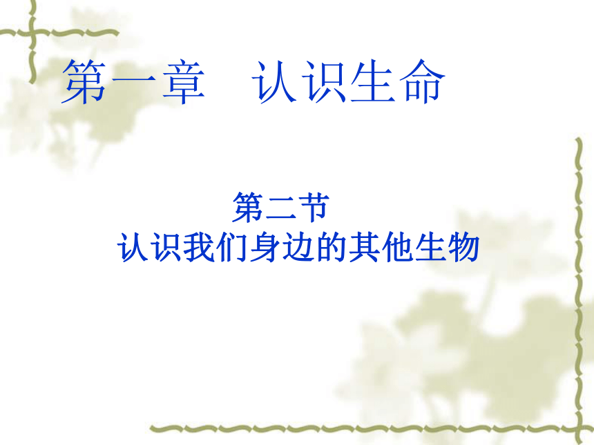 京改版生物七年级上册1.2《认识我们身边的其他生物》课件（15PPT）