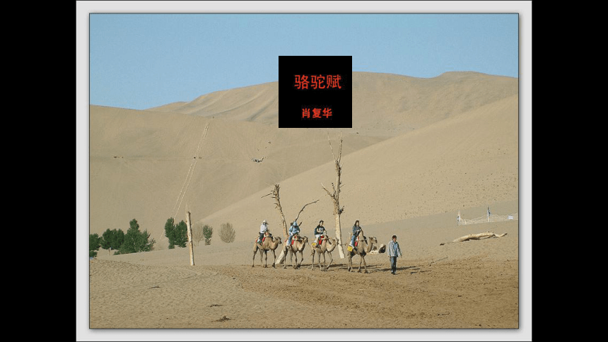 鄂教版九年级语文上册自制第1课《骆驼赋》（31张ppt）