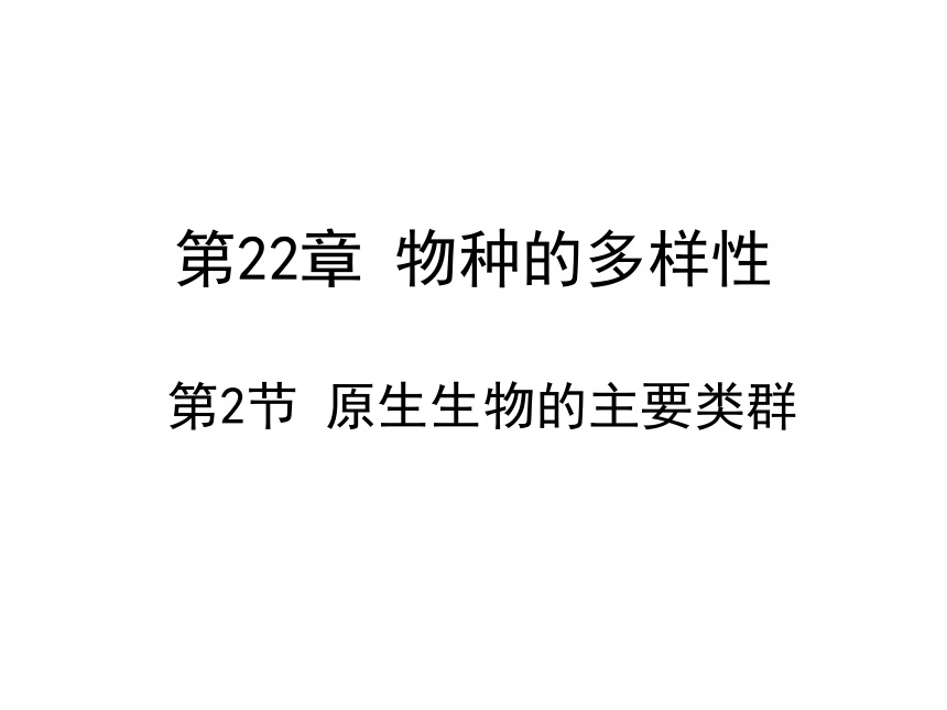 22.2《原生生物的主要类群》课件（共19张PPT）