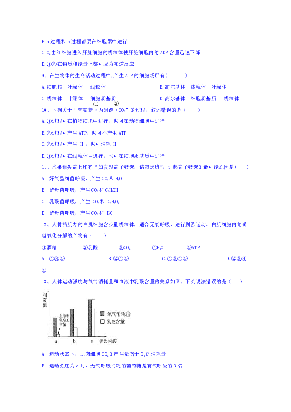 甘肃省会宁县第一中学2018-2019学年高一下学期期中考试生物试题