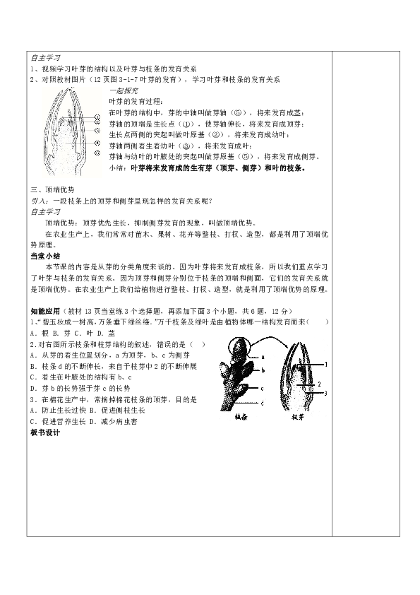 芽的发育课型综合学案导学目标知识目标:描述芽的类型和叶芽的结构