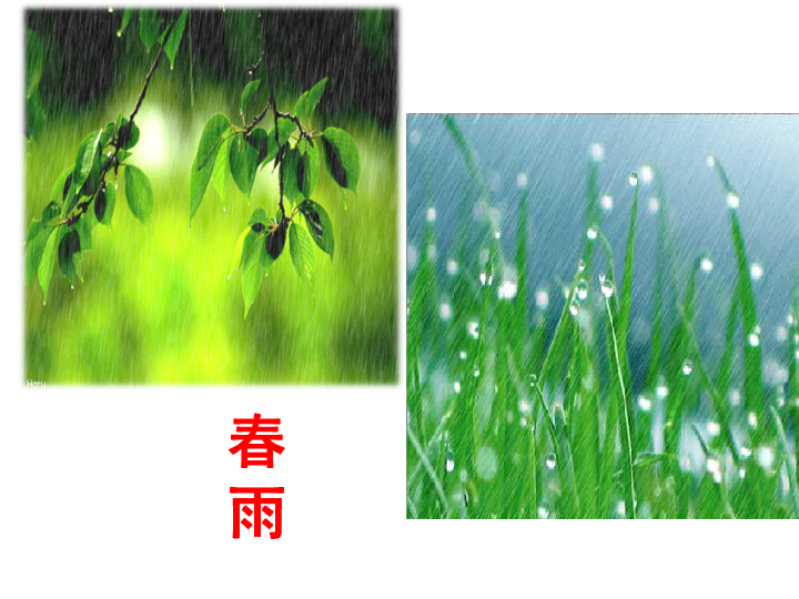 人教初中语文七上3雨的四季课件:15张PPT