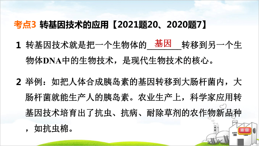 2022年福建中考生物考点梳理第19课时　生物技术（26张PPT）