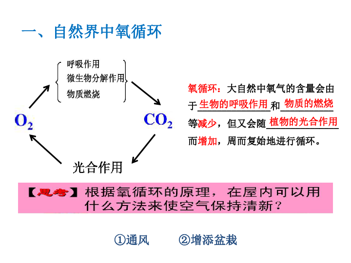 37自然界中的氧循环和碳循环课件12张ppt全