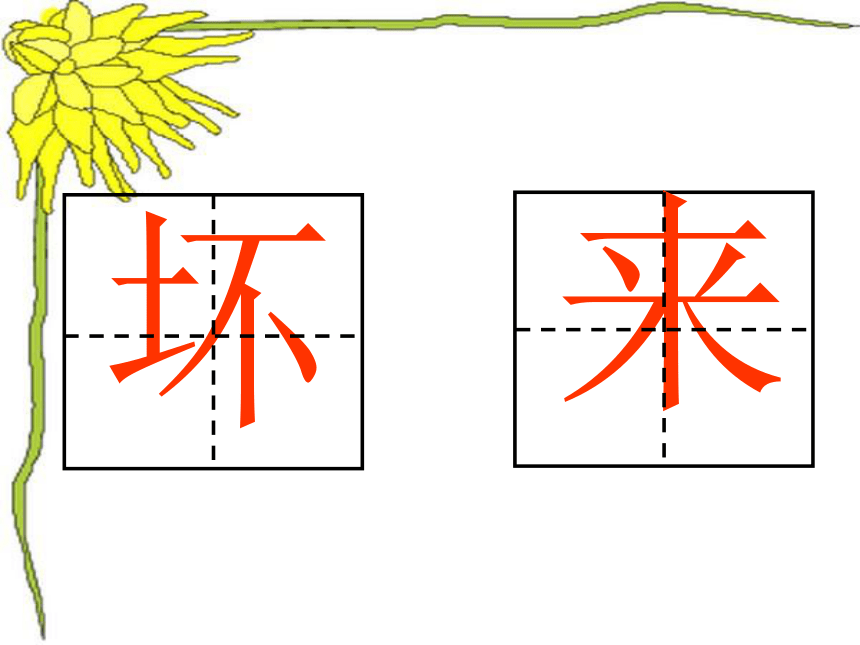 10 小牛站起来