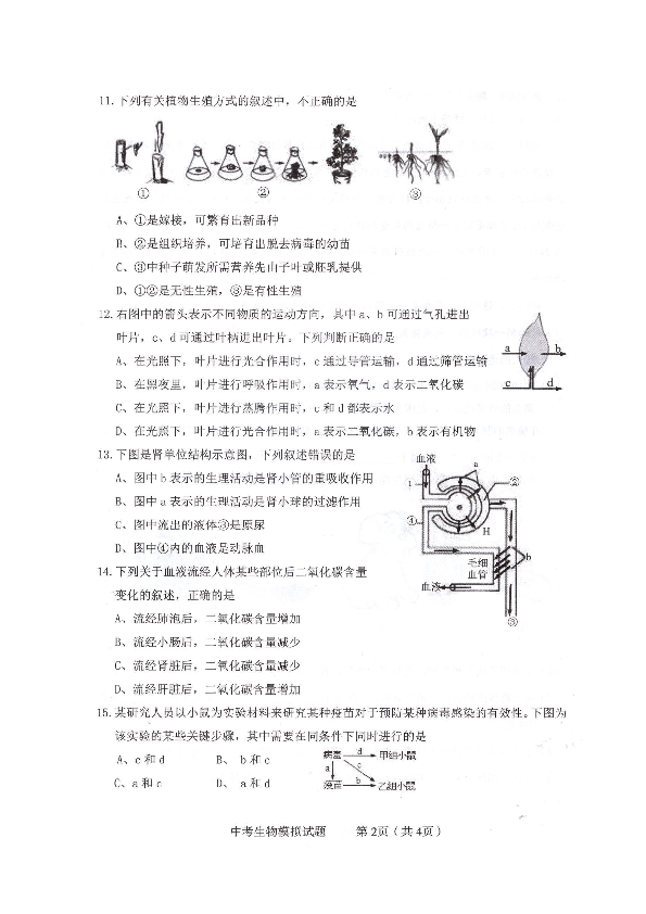 江西省赣州市章贡区2020届九年级5月适应性模拟生物试题（扫描版含答案）
