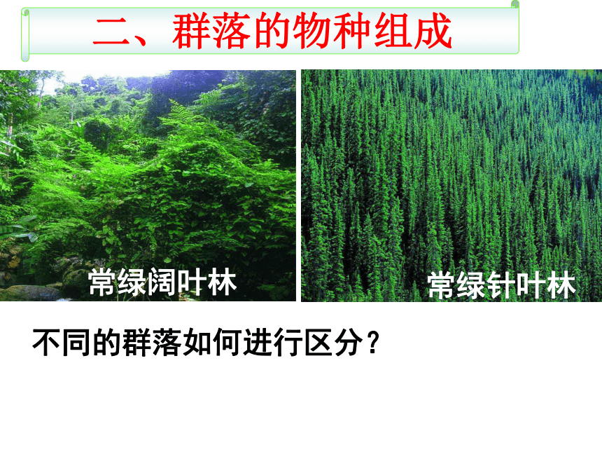 山东版高中生物必修三第二章群落的结构(公开课) （32张）