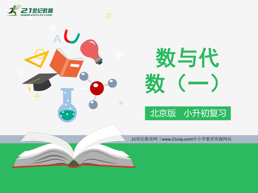 北京版数学六年级下册总复习—数与代数（一）