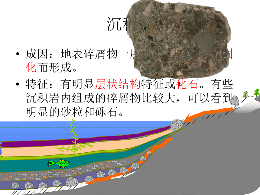 第3节组成地壳的岩石