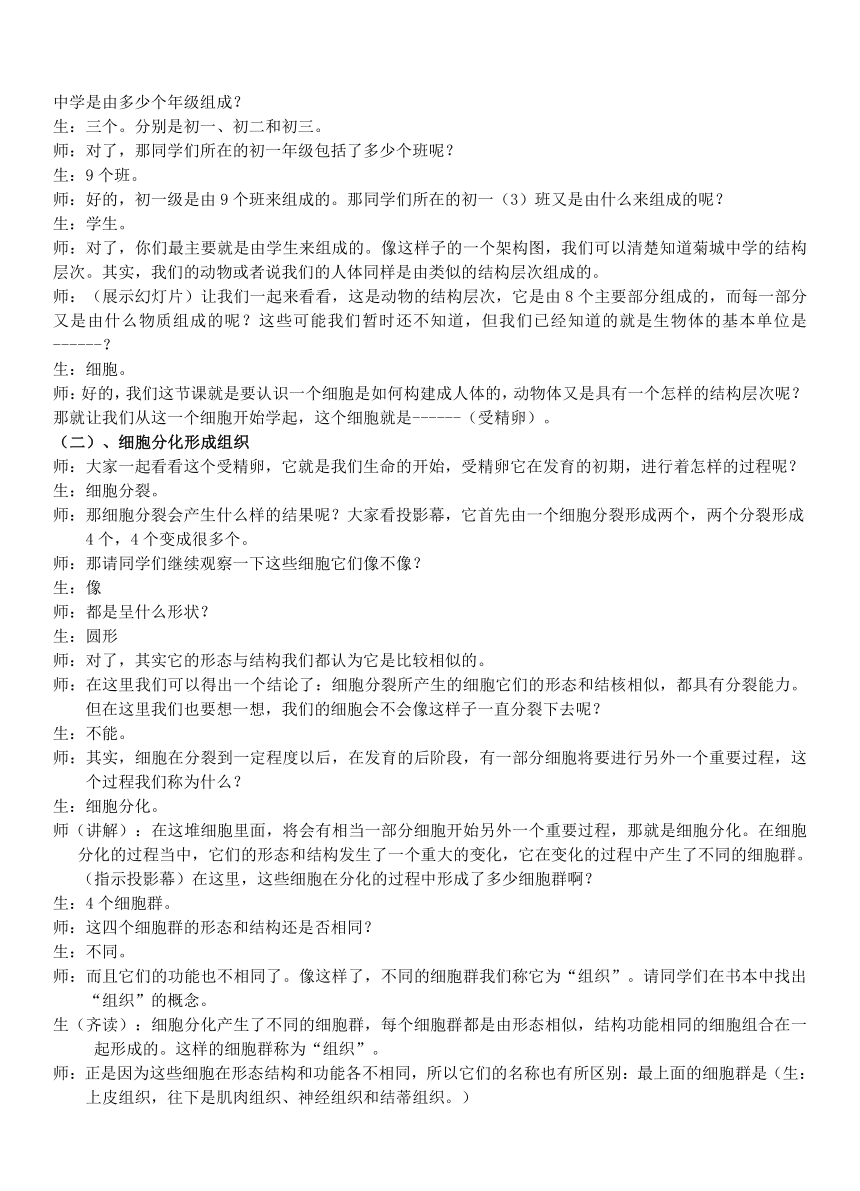 第一节  动物体的结构层次教案