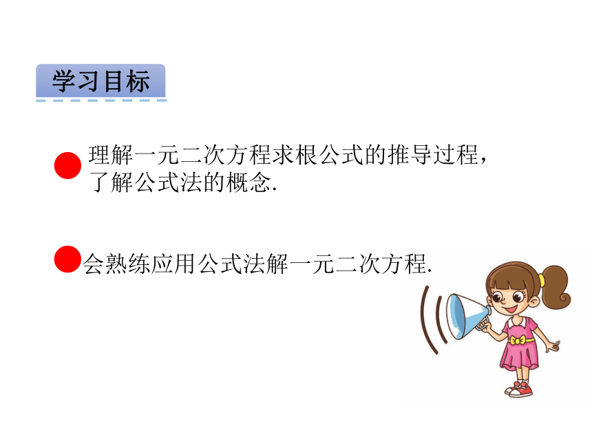 人教版九年级数学上册第二十一章 一元二次方程21.2.2公式法 课件（20张PPT)