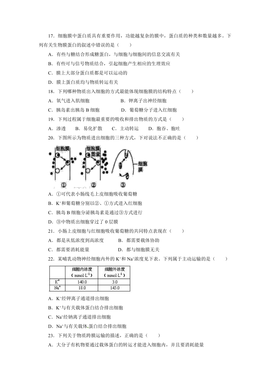 辽宁省葫芦岛市第六中学2018-2019学年高一上学期单元训练卷 第4单元 生物 含解析