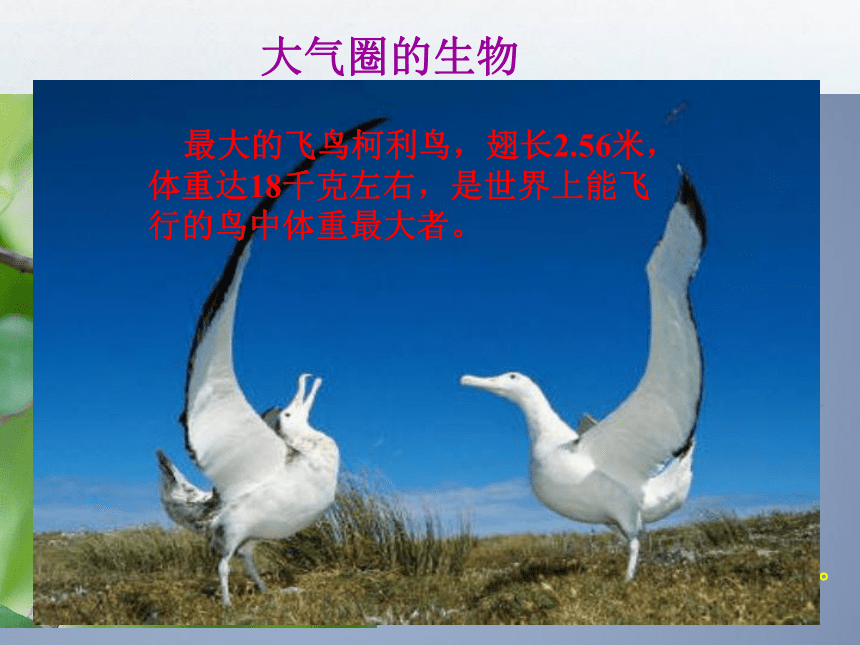 广东省台山市新宁中学人教版七年级生物上册课件 1.2.3生物圈是最大的生态系统 （共20张PPT）