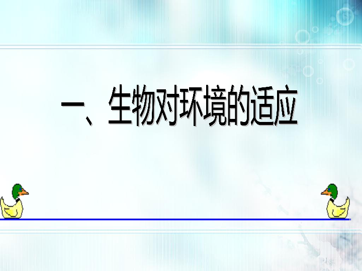 冀教版八年级下册生物  7.1.2生物对环境的适应和影响 课件  (28张PPT)