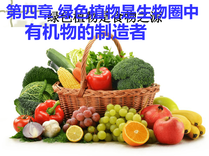 天津市武清区杨村第五中学七年级生物上册 第3单元第4章 绿色植物是生物圈中有机物的制造者 课件(共16张PPT)