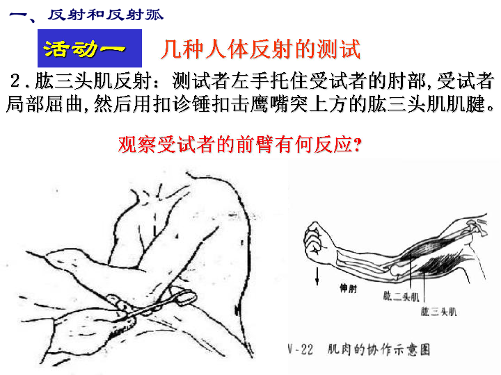 ce105ab1523c2c38f7e610bb8648dfba.png