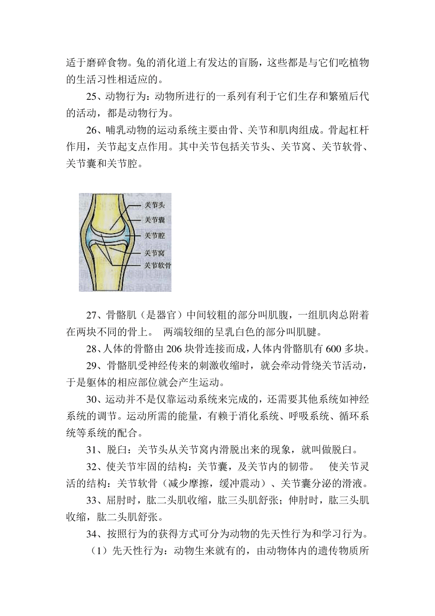 八年级上册生物复习提纲