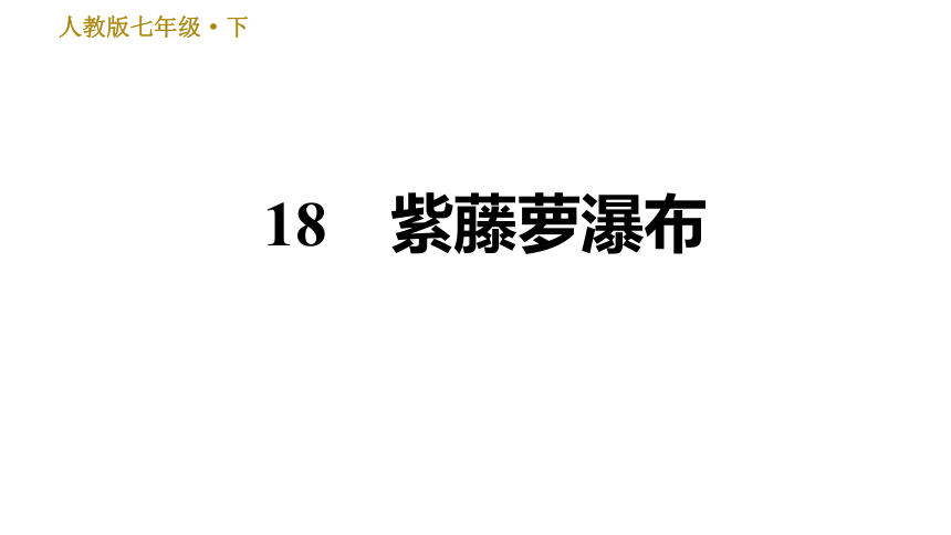 课件预览
