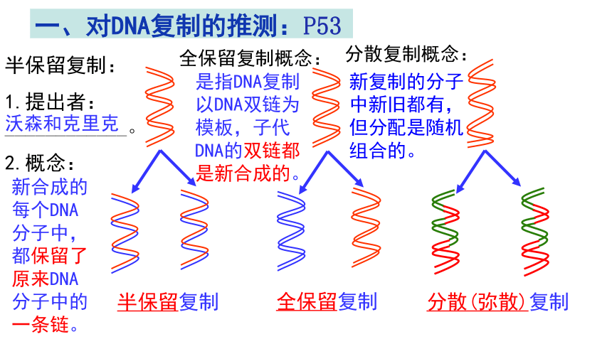 20202021學年高一生物人教版必修二33dna的複製課件18張ppt