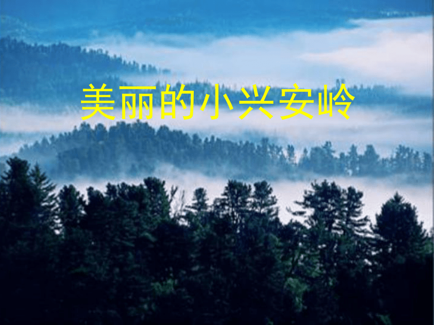 语文四年级下北京版3.9《美丽的小兴安岭》课件2