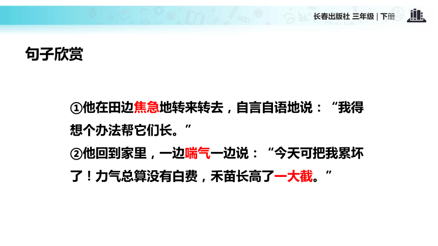 揠苗助长 课件 (共17张PPT)