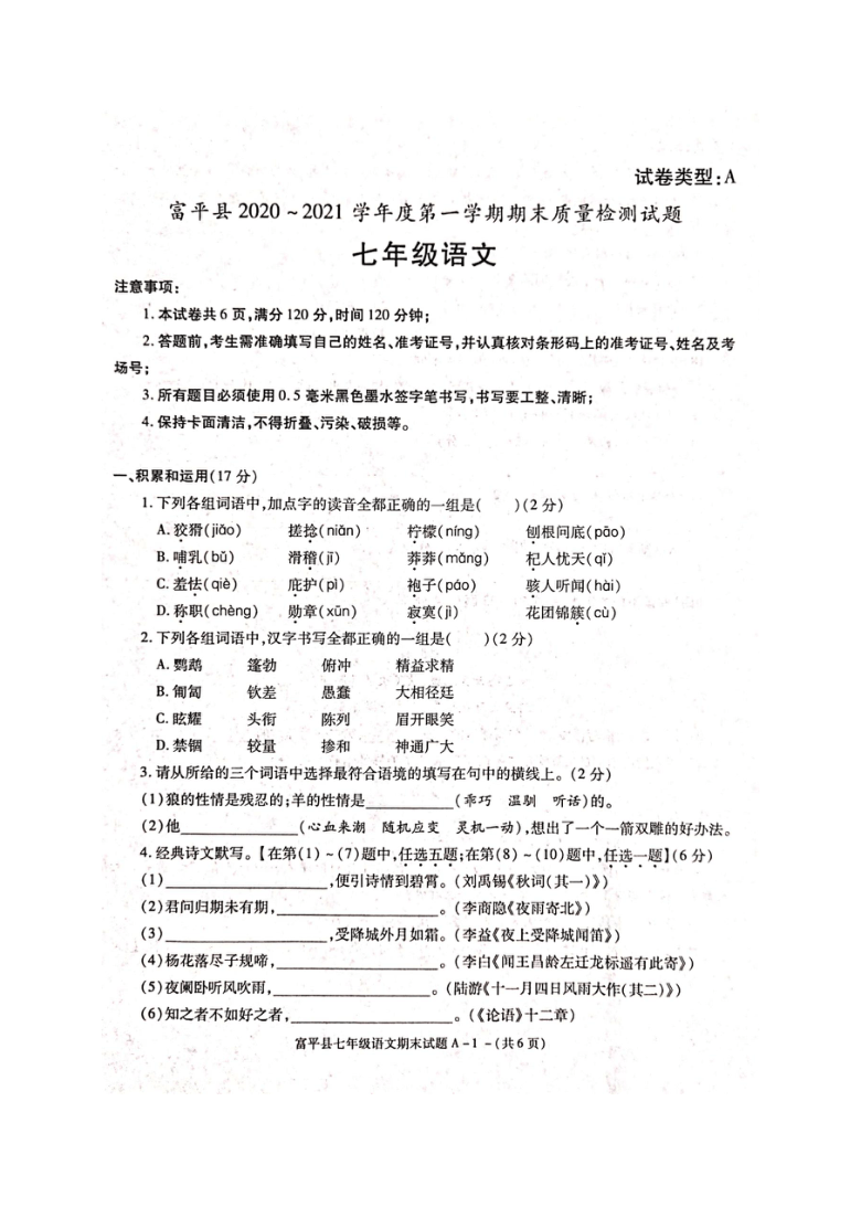 陕西省渭南市富平县2020-2021学年七年级上学期期末考试语文试题（图片版含答案）