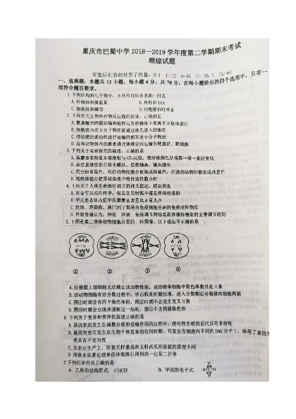 重庆市巴蜀中学2018-2019学年高二下学期期末考试理科综合试题（pdf版，含答案）