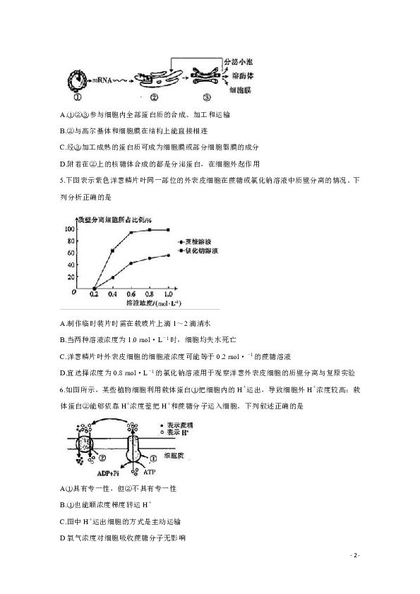 全国Ⅰ卷2020届高三上学期五省优创名校第二次联考试题 生物