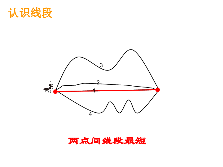 四年级上册数学 3.1 直的线—线段、直线和射线 课件西师大版 (共17张PPT)