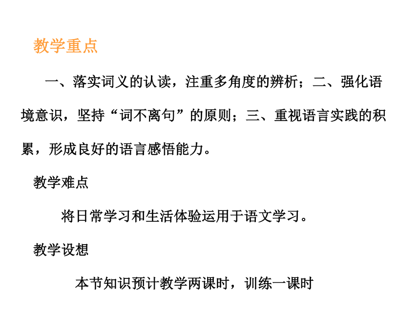 部编版语文中考词语辨析与词语(成语)运用复习 课件（共13张ppt）