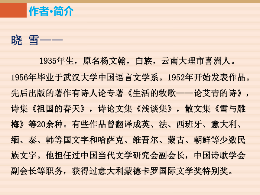 苏教版九上语文 13.散文家谈散文 课件（幻灯片31张）