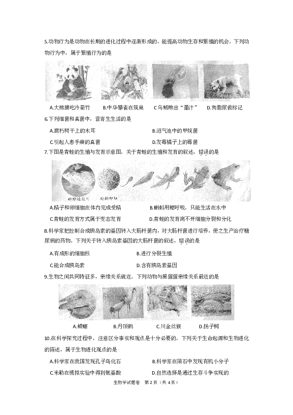 2020年安徽省八年级学业水平考试生物学试题（PDF版，有答案）