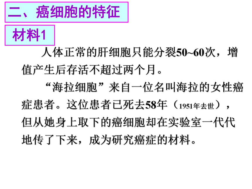 高中生物北师大版必修一第6章6.3 细胞的癌变 课件 (4)