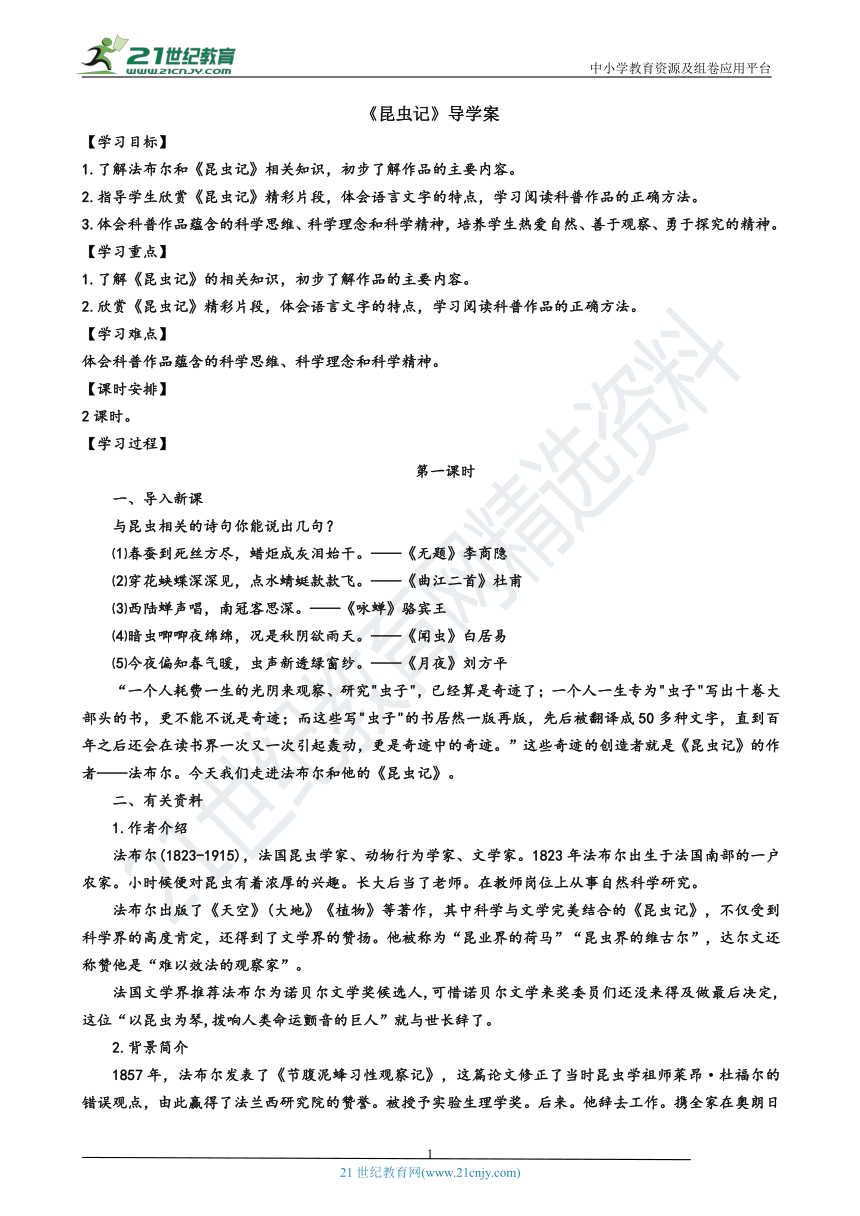 课件预览