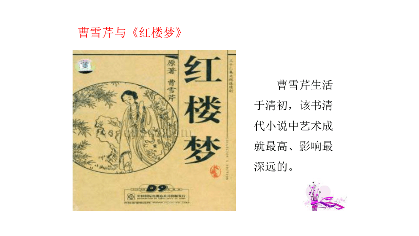 人教版历史七年级下册第21课课件《清朝前期的文学艺术》