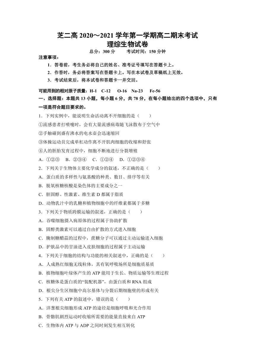 西藏自治区林芝市第二重点高中2020-2021学年高二上学期期末考试理综生物试题（Word版含答案）