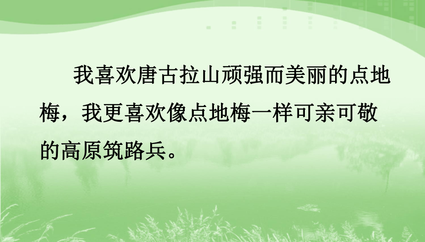 语文六年级上西师大版3.9《烂漫的点地梅》课件（35张）