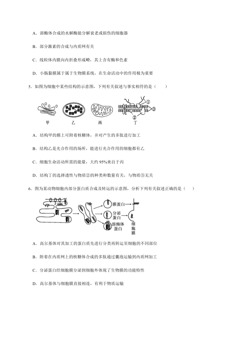 北京市昌平区新学道临川学校2020-2021学年高一（京津班）12月月考生物试题  含答案