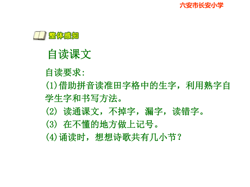 语文四年级下苏教版1.1《走 我们去植树》课件2