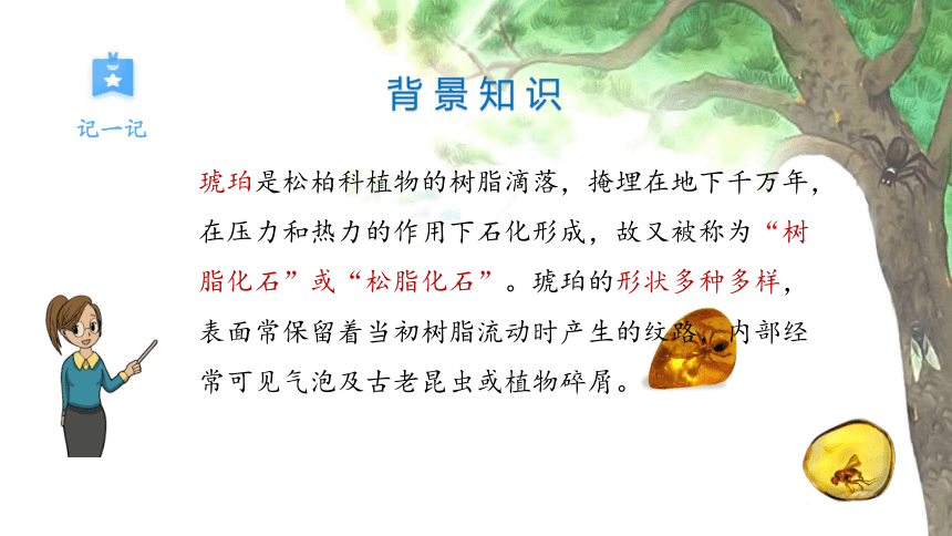 5《琥珀》