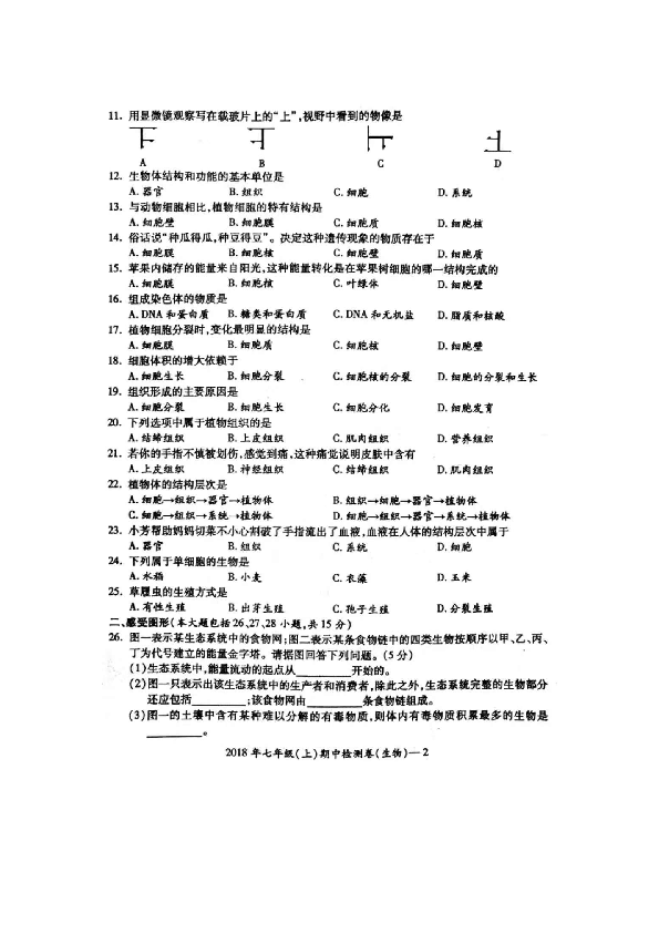 2018年下学期湖南省邵阳县七年级（上）期中检测生物试题（图片版）