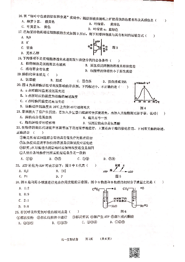 广西贺州市非示范性高中2018-201919学年高一上学期期末考试生物试卷（PDF版）