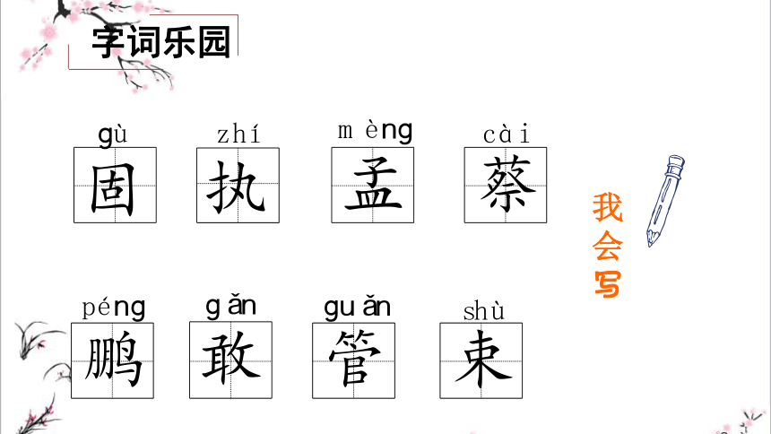 4.2.说声”对不起“ 课件