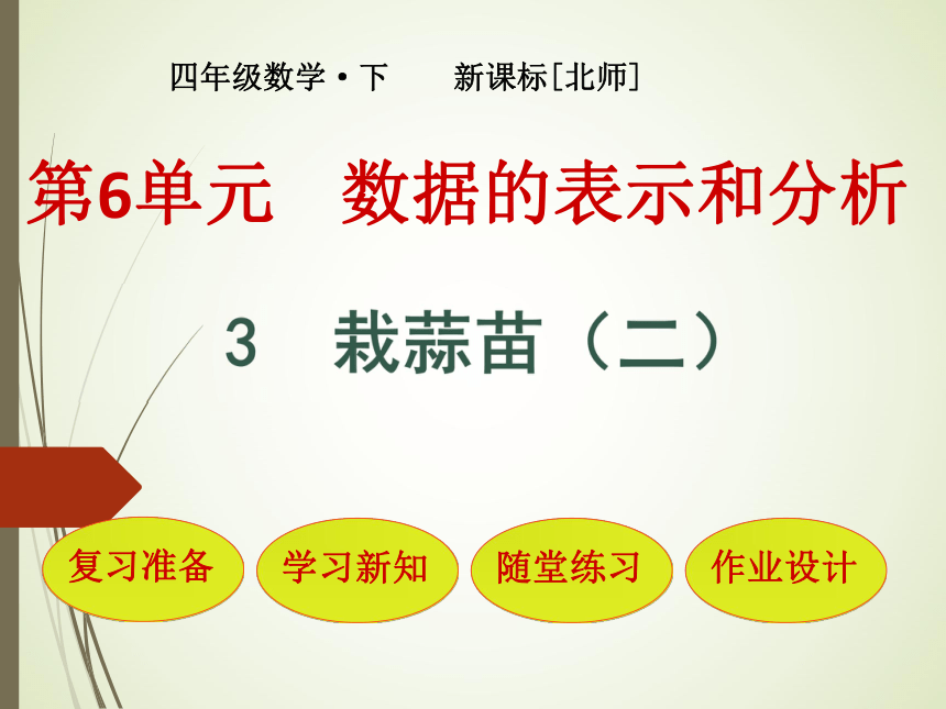 数学四年级下北师大版6.2 栽蒜苗（二）课件（20张）