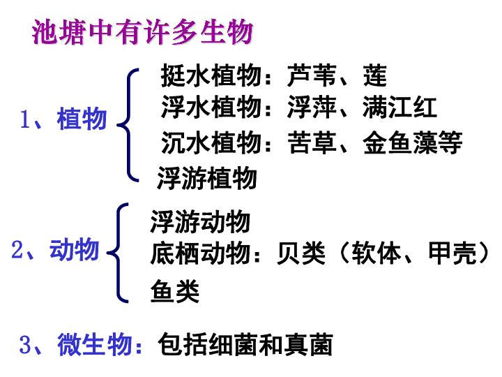 2.3 生物群落(课件 38张ppt)