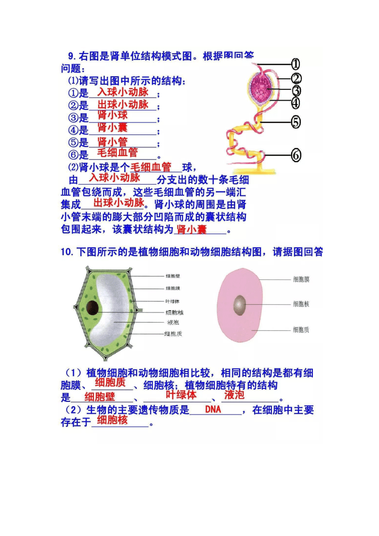 初中生物重要识图题归纳pdf版