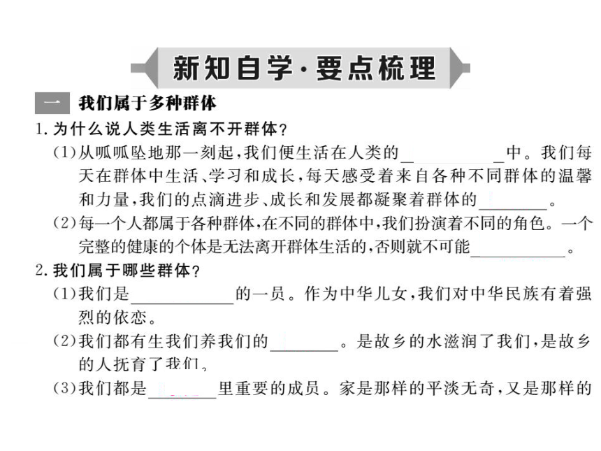 第七课  我属于······ 学案