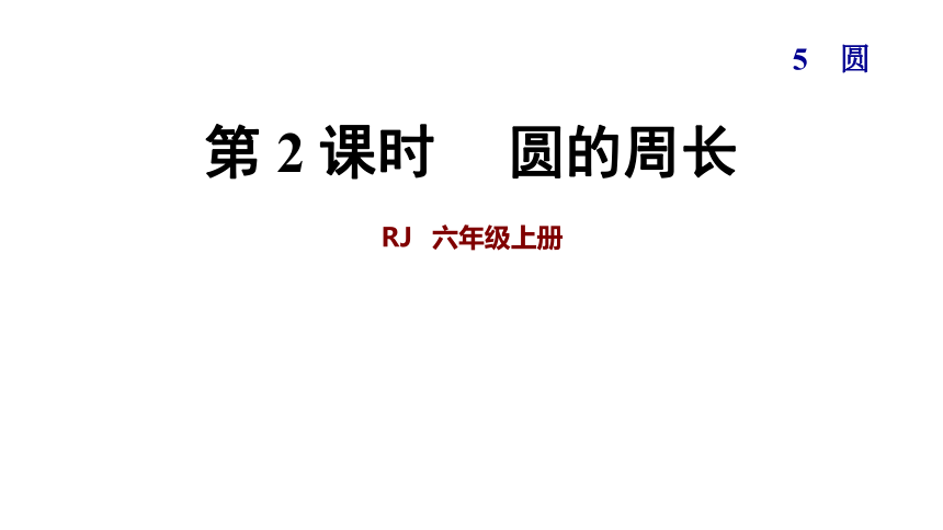 数学六年级上人教版5圆的周长课件 (共43张PPT)