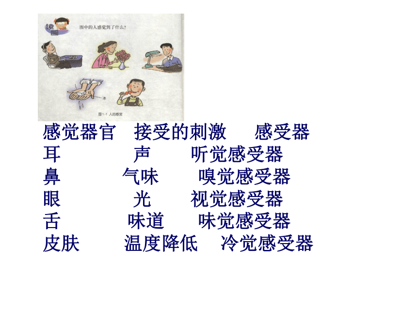 科学第二册第一章复习[下学期]