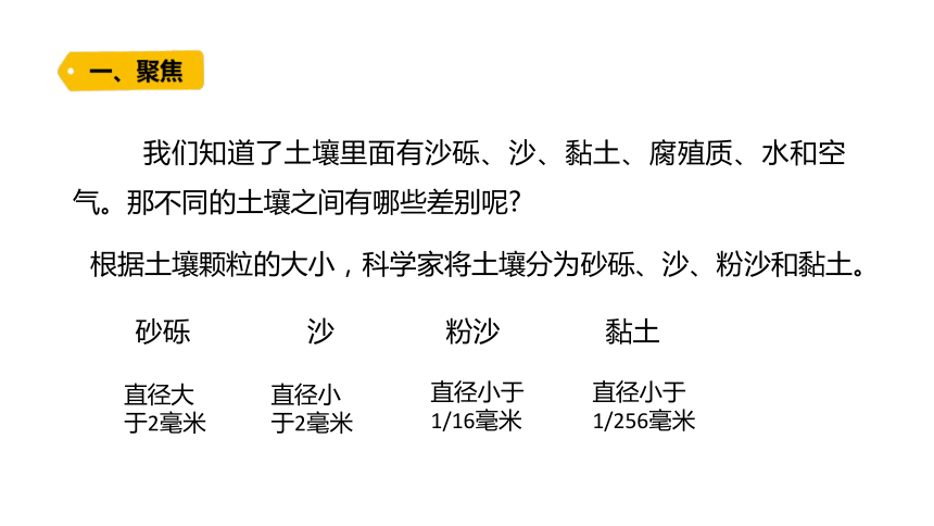 冀人版2017秋四年級科學下冊12沙質土黏質土和壤土課件共13張ppt